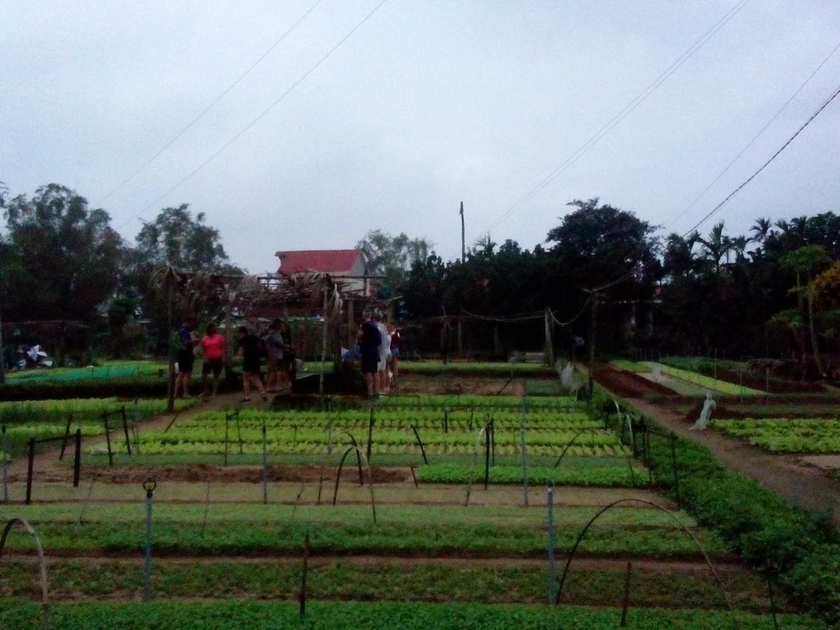 An Bang Beach Town Homestay Hoi An Bagian luar foto